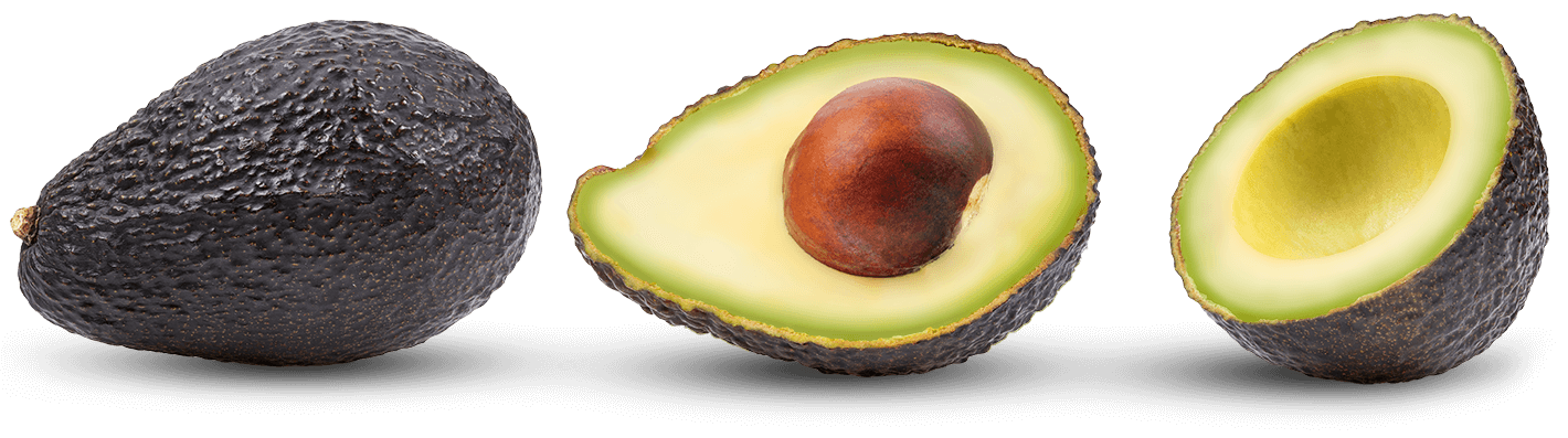 A Colombian worker transfers fresh avocados from a mesh bag into a